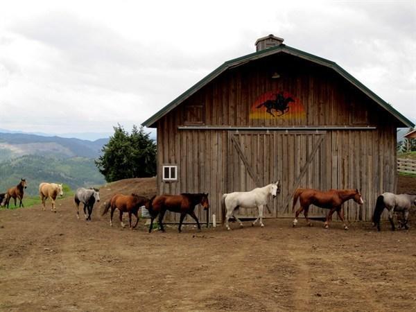 Hotel Bull Hill Guest Ranch Marble Exterior foto